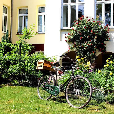 The Avalon - Altstadt Hotel 2*